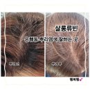 류빈 | 은행동미용실 살롱류빈에서 프리미엄 뿌리염색으로 고급 애쉬브라운 완성!