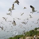 난도