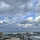 제주애월당귤 이미지