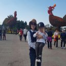 익산고등학교 이미지