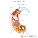 매직보청기 이미지