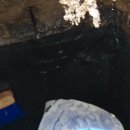 연희동 주민센터 | 서대문구 연희동 정화조수리 정화조 누수현장, 정화조 3번칸 쓰레기 제거부터 방수공사 보강까지
