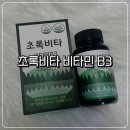 관저성모건강기능식품 | 초록비타 비타민B3 나이아신아마이드 후기 | 3주간 건강관리 루틴으로 챙긴 솔직 리뷰