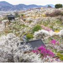 매화농업협동조합 이미지