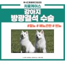 중곡동물병원 이미지