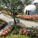 햇골글램핑 네이버블로그