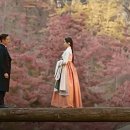 미스터선샤인 Daum카페