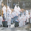 조태형농장 이미지