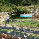 힐링원예 이미지