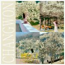 해오름근린공원 1 | 창원 목련 명소 충혼탑 안민베이커리카페 3.15 근린공원