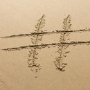 해시태그 이미지