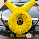 태평서울병원 이미지