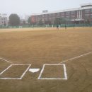 청주 석교초등학교 야구부원 모집 이미지