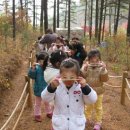 완도유치원 이미지