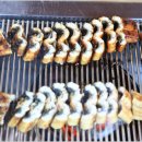 장어독립 이미지