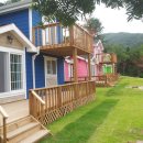 자일랜드 이미지