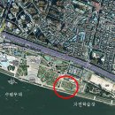 나무랑숲 이미지