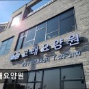 고래요양원 | [천안 요양원/추천/후기/가격] 고래요양원 천안 고래요양원은 믿을 수 있을까?