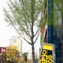 연산동거리(오방맛길) 이미지