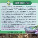 신라샘1 이미지