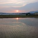 황혼농장 이미지