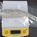 군산박대삼촌 이미지