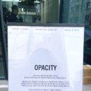 오퍼시티(OPACITY) 이미지