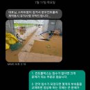 서현수 농장 네이버블로그