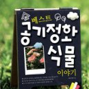식물이야기 - 완도군 개포로62번길 41 | 식물이야기