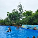 지에스(GS)25 파주당동IC점 | 연천 파주 수영장 캠핑장 추천 나린 오토캠핑장 여름 휴가지 후기