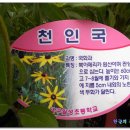 월성초등학교 이미지