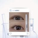 래쉬바다 - 수영구 수영로 604 | 해운대 속눈썹 길어지는방법? 직접 사용해본 부산 래쉬애딕트 후기와 관리법