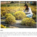 전북 남원, 춘향허브마을 - 춘향의 향내가 피어나는 마을 (NAVER 아름다운 한국) 이미지