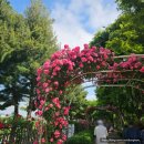 장일공업사 이미지