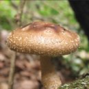 충북농장 이미지