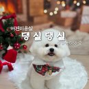 댕실댕실 이미지