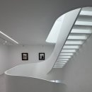 21세기 | [전시] 에스더 쉬퍼 서울 《21세기 정물화》 전시 관람 후기(1/14)