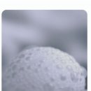 롯데하이마트(주)용전점 이미지