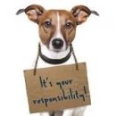 목감동물병원 이미지