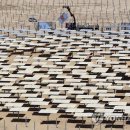 성지 태양광발전소 이미지