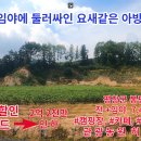 강원평창농원 티스토리