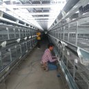 상문농장 이미지