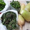 심천요양원 이미지