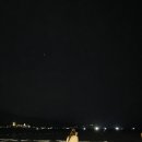 핑크망고 이미지