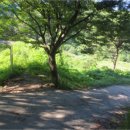 합성동103 이미지