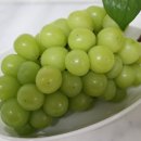 영재농장 이미지