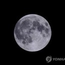 보름달 - 부산진구 동성로 61-1 | 보름달