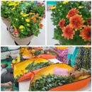 만경보건지소 이미지