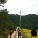 김상용농장 Daum카페