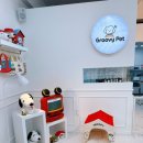 그루비펫 이미지